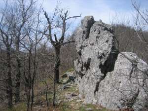 Standing Rock, a vertical outcrop of the Arkansas Novaculite on Buckeye Mountain.