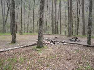 A campsite along the Caney Creek Trail.