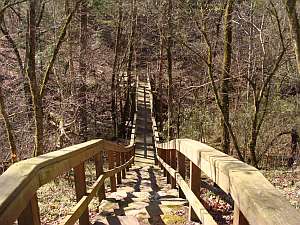 Cossatot Bridge 01.