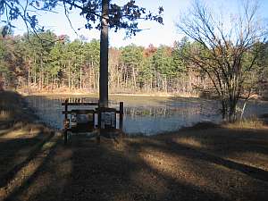 Irish Wilderness Pond
