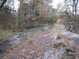 Sandstone slab dipping into Bugaboo Creek.