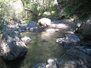 Silver Peak Salmon Ck.