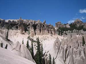 SSJ Wilderness Wheeler.